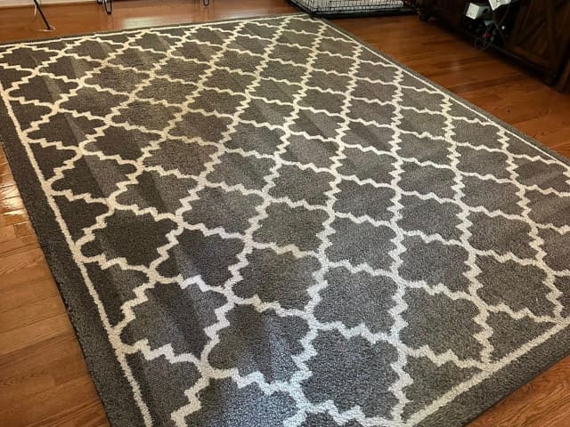 Area Rug Cleaning in Lewisville, Clemmons, Bermuda Run & Winston Salem